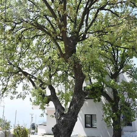 Hotel Gogo's Boutique Dhërmi