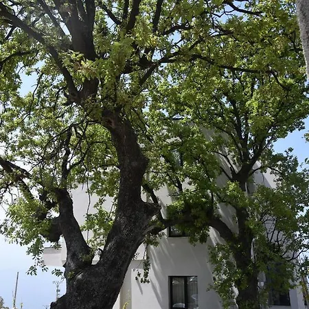 Gogo's Boutique Hotel Dhërmi