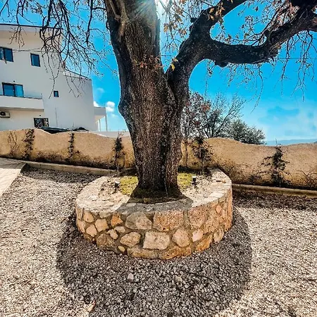 Gogo's Boutique 4* Dhërmi