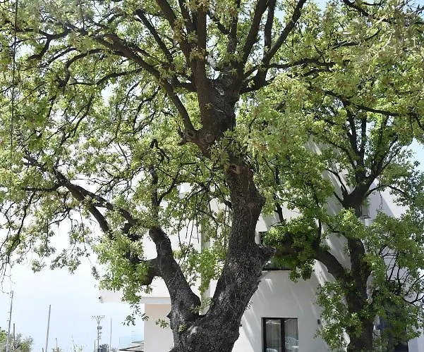 Hotel Gogo's Boutique Dhërmi