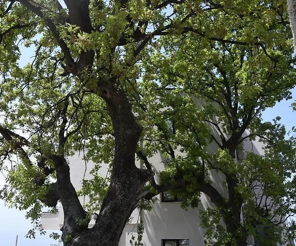 Gogo's Boutique Hotel Dhërmi