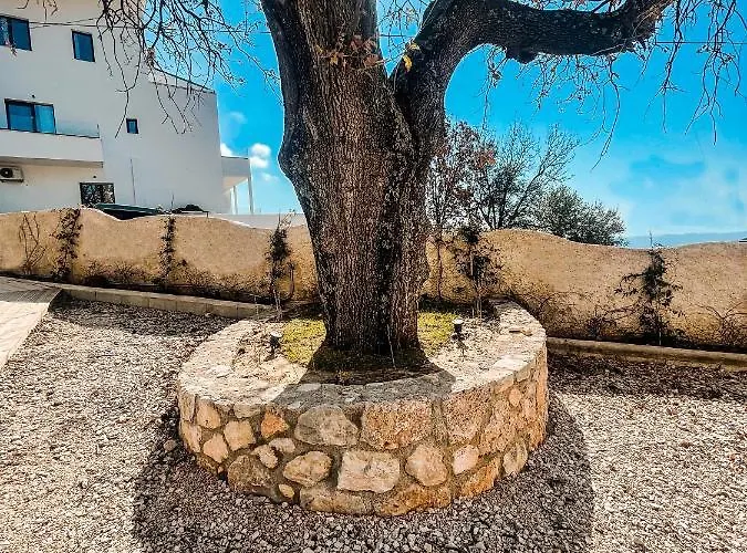 Gogo's Boutique 4* Dhermi